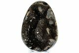 Septarian Dragon Egg Geode - Sparkly Black Crystals #308805-1